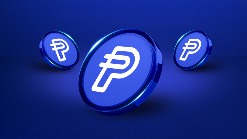 PayPal ventures into crypto with a strategic investment in Stable to integrate its PYUSD stablecoin on the blockchain, enhancing stability and utility
