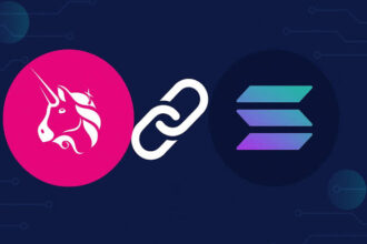 Screenshot of Uniswap web app displaying Solana network integration