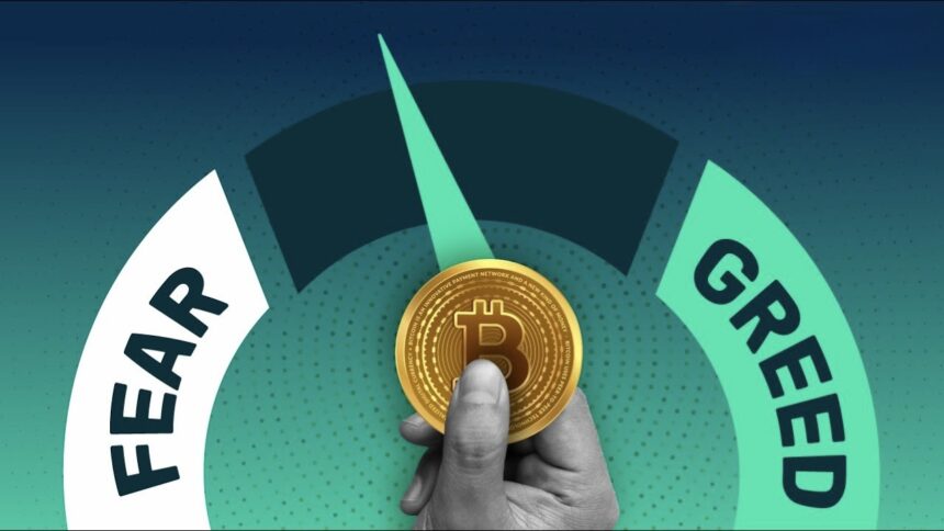 Crypto Fear & Greed Index dashboard showing fear sentiment amid market losses
