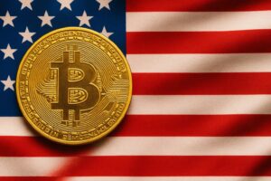 Natalie Brunell discusses Bitcoin as a solution for purchasing power loss